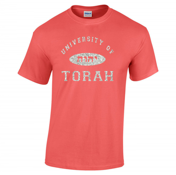 University of Torah