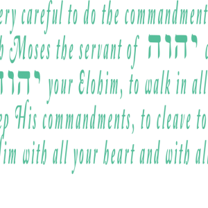 Love Yahweh your Elohim