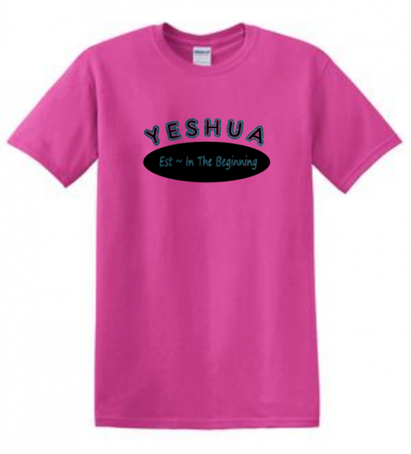 Yeshua established in the beginning